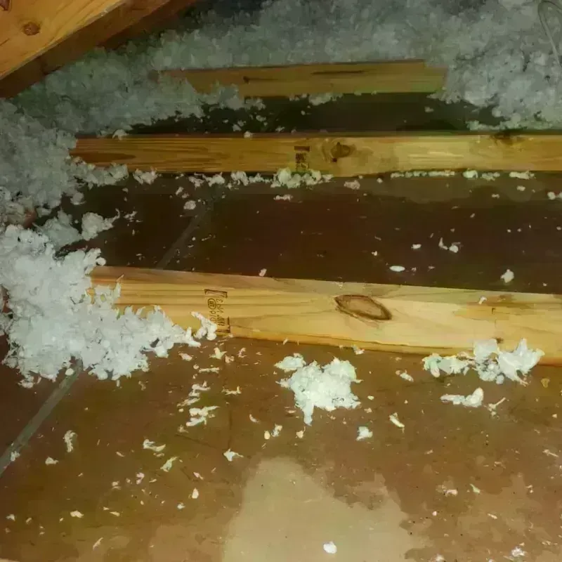 Attic Water Damage in Deer Park, CA