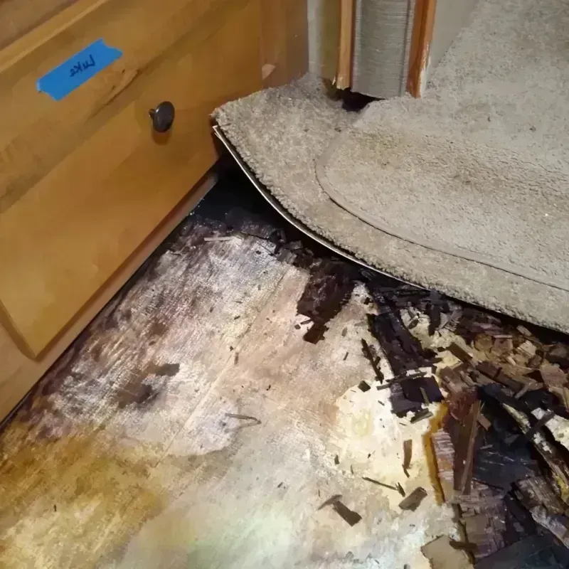 Best Wood Floor Water Damage Service in Deer Park, CA